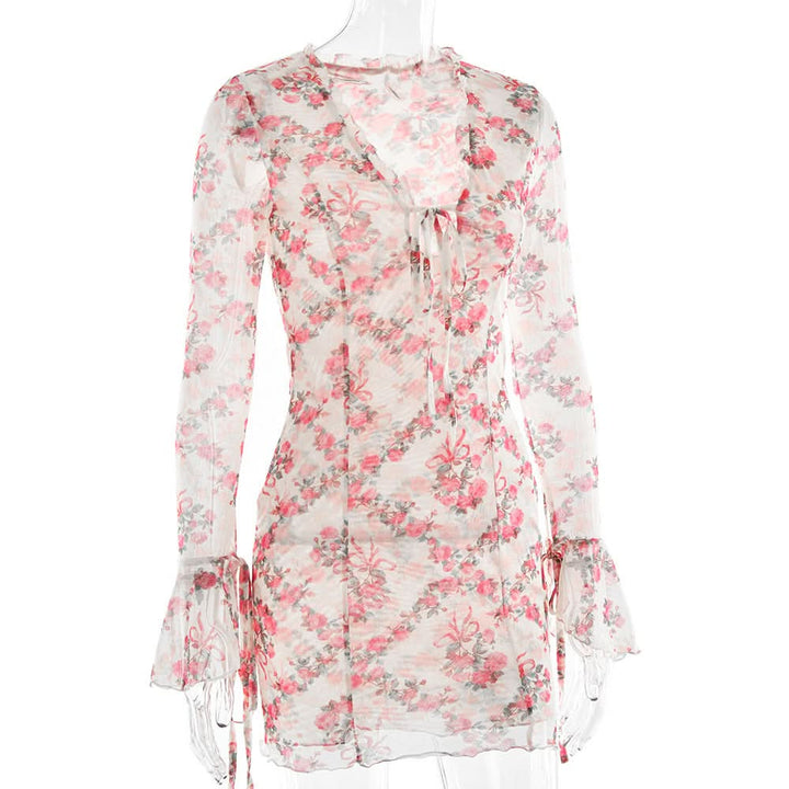 Long sleeve v neck flower print mesh mini dress  | Festival Outfits Women