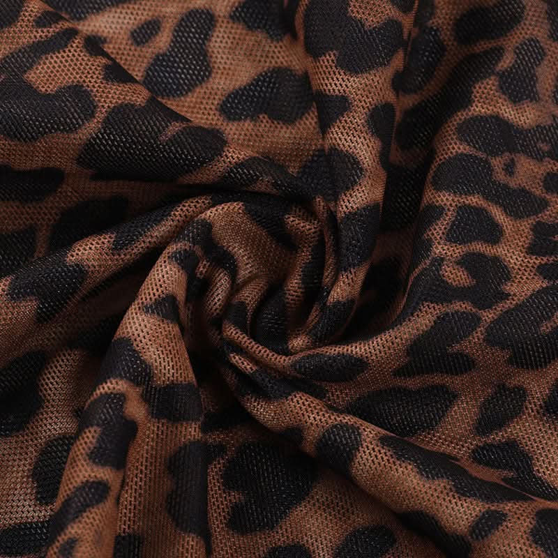 Leopard print v neck sheer mesh ruffle top  | Festival Outfits Women  | Cheetah Print Top