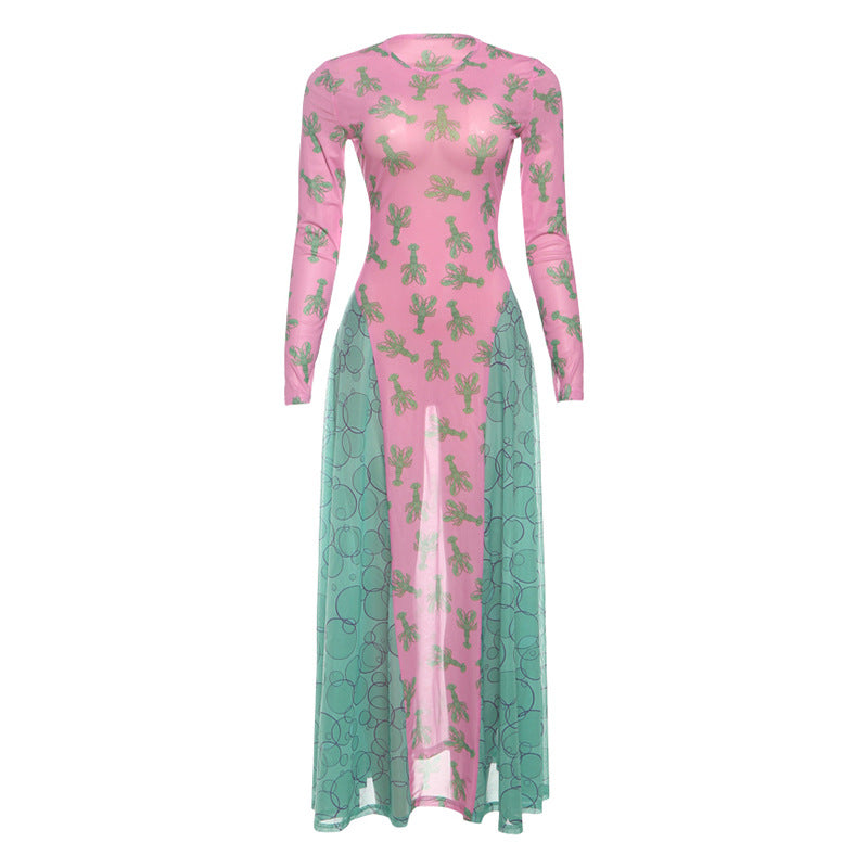 Long sleeve mesh crewneck print maxi dress  | Festival Outfits Women