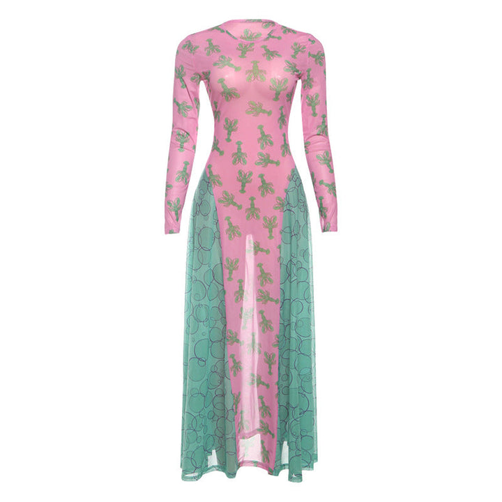 Long sleeve mesh crewneck print maxi dress  | Festival Outfits Women