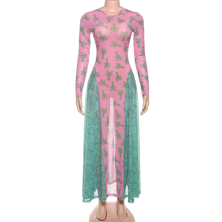 Long sleeve mesh crewneck print maxi dress  | Festival Outfits Women