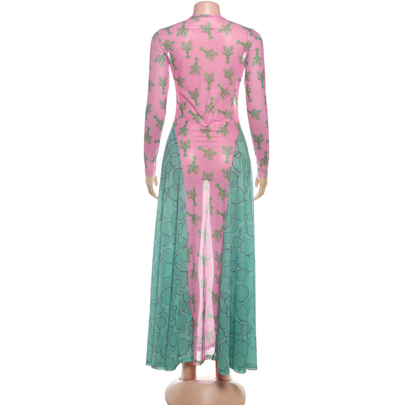 Long sleeve mesh crewneck print maxi dress  | Festival Outfits Women