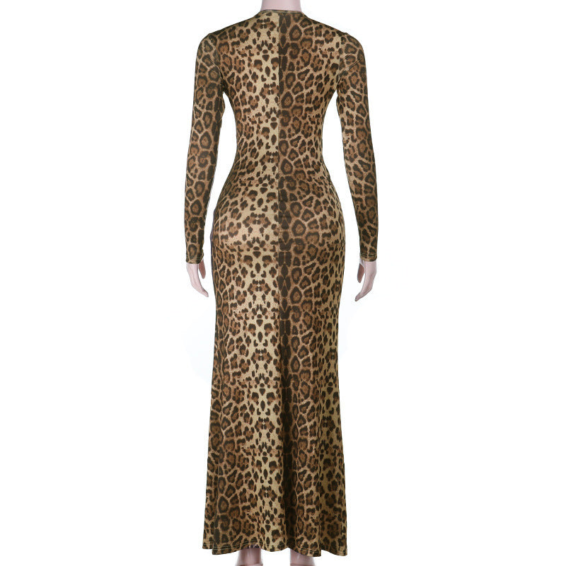 Leopard print v neck long sleeve maxi dress  | Festival Outfits Women