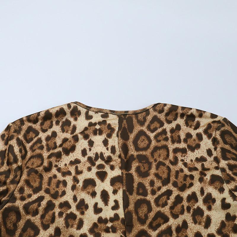 Leopard print v neck long sleeve maxi dress  | Festival Outfits Women