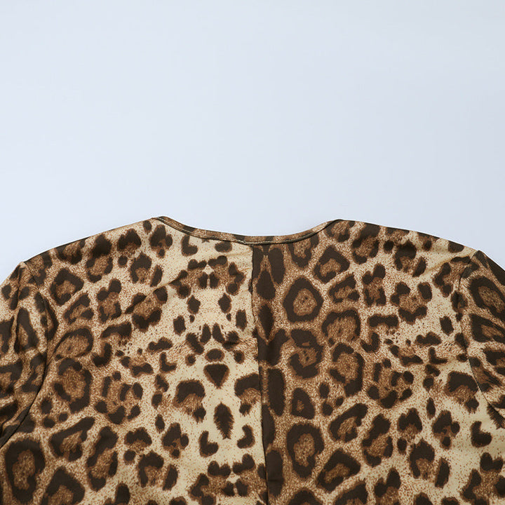 Leopard print v neck long sleeve maxi dress  | Festival Outfits Women
