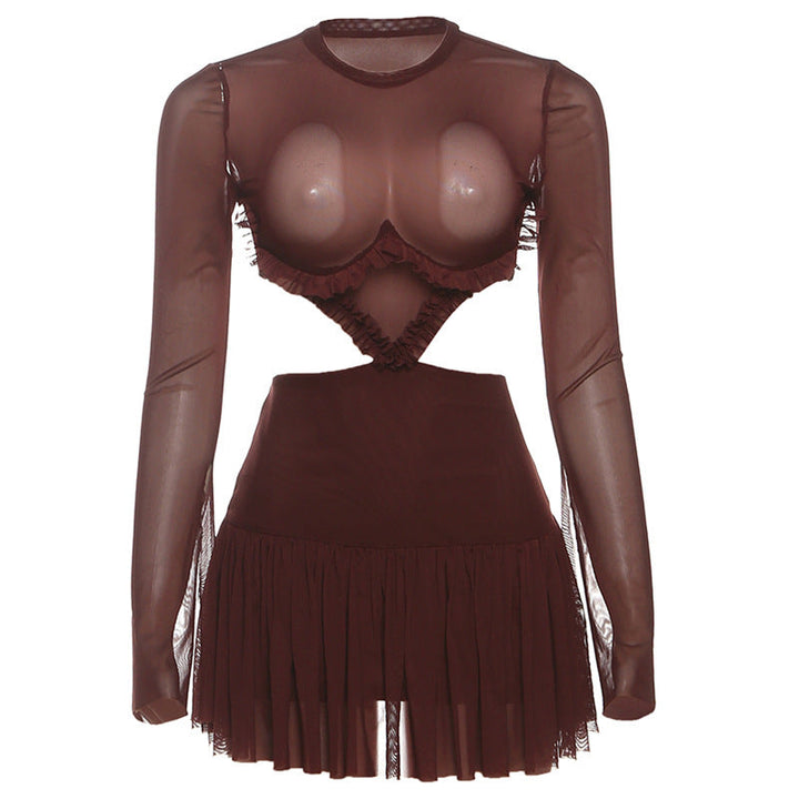 Crewneck long sleeve mesh ruched mini dress  | Festival Outfits Women