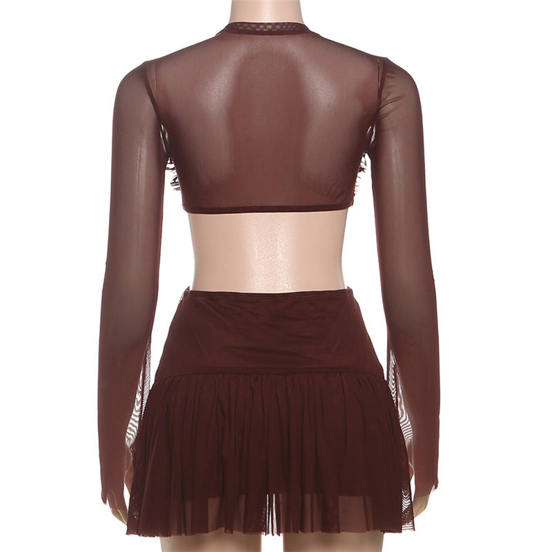 Crewneck long sleeve mesh ruched mini dress  | Festival Outfits Women