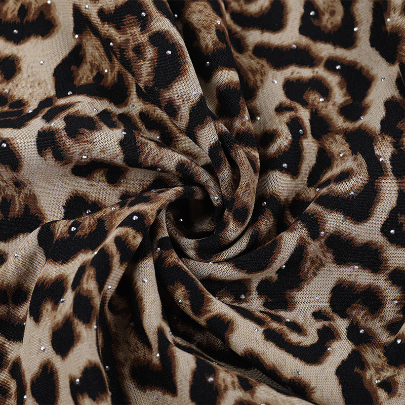 Leopard print lace hem v neck long sleeve self tie top  | Festival Outfits Women  | Cheetah Print Top