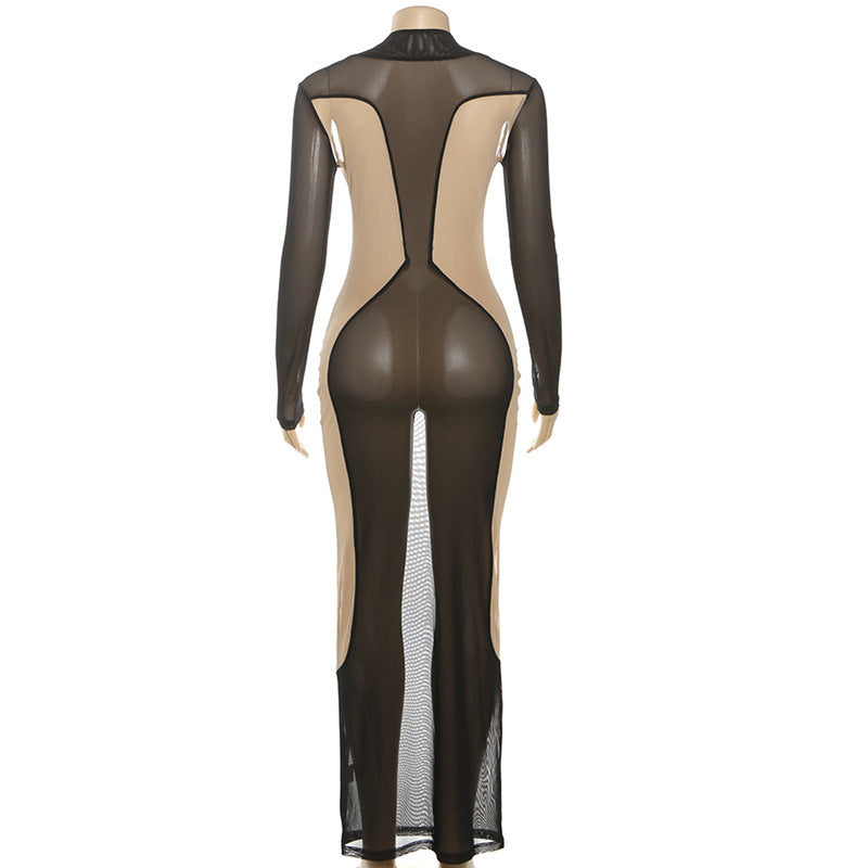 Sheer mesh long sleeve crewneck maxi dress