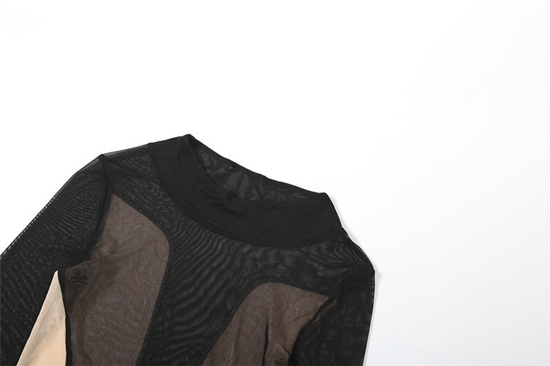 Sheer mesh long sleeve crewneck maxi dress