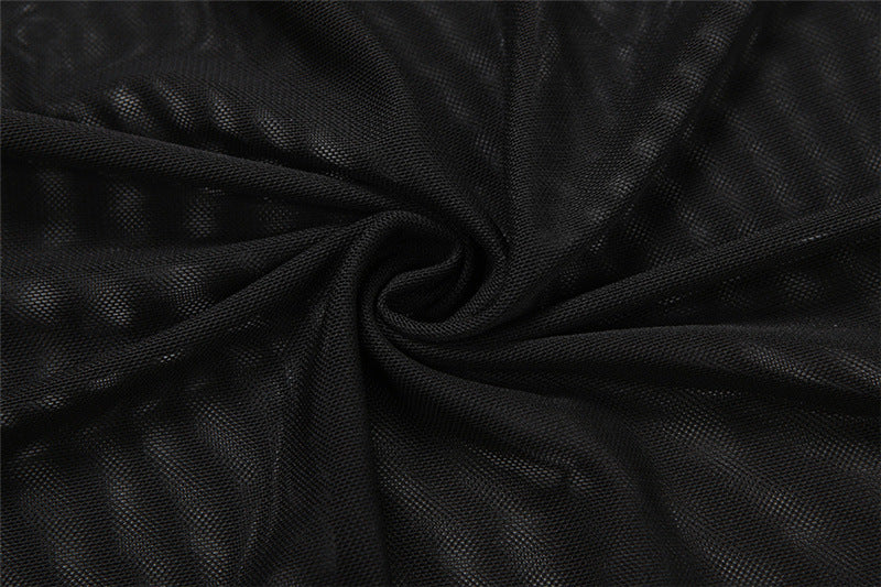 Sheer mesh long sleeve crewneck maxi dress  | Festival Outfits Women