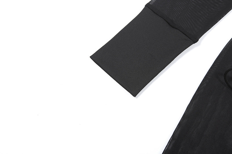 High neck long sleeve mesh solid maxi dress  | Festival Outfits Women