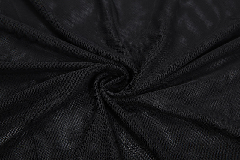 High neck long sleeve mesh solid maxi dress  | Festival Outfits Women