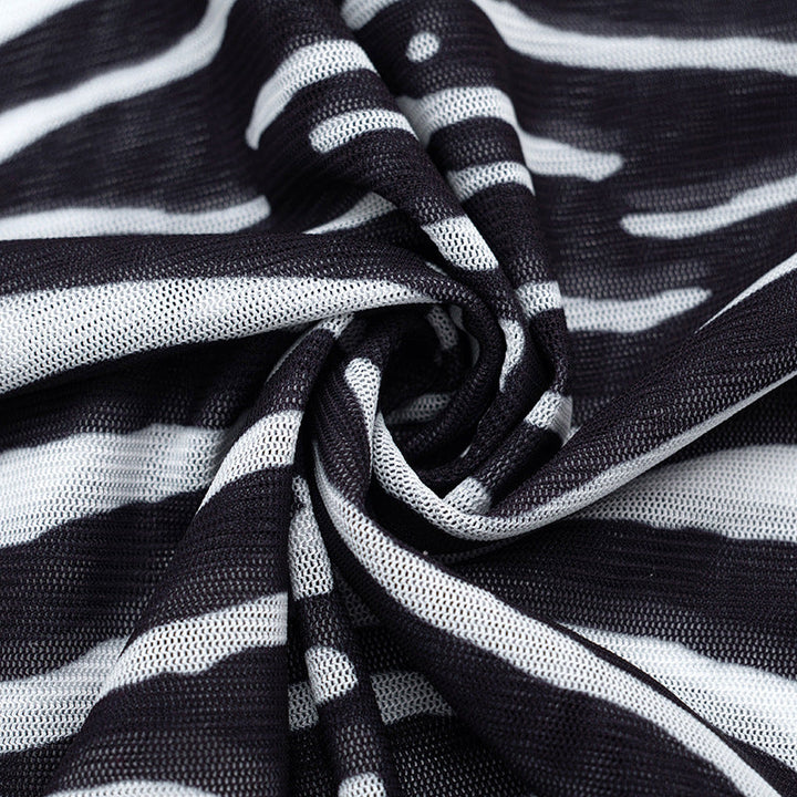 Zebra print long sleeve crewneck sheer mesh top  | Festival Outfits Women