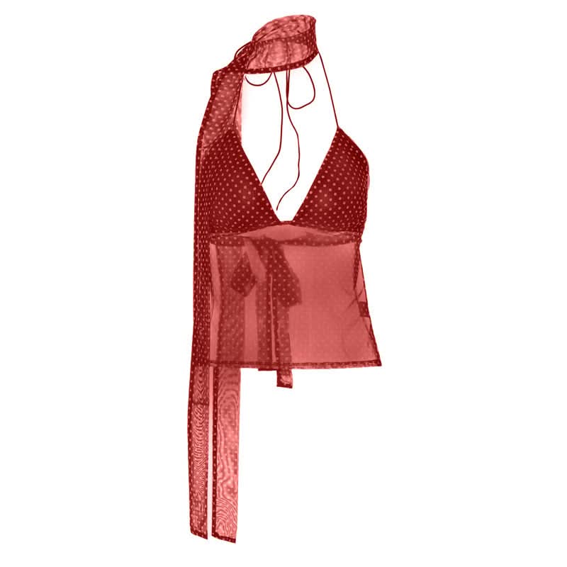Polka dot v neck halter self tie mesh top  | Festival Outfits Women-final-sale