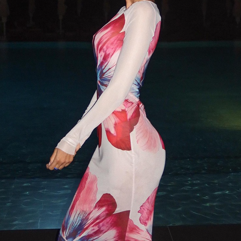 Long sleeve crewneck mesh flower print maxi dress  | Festival Outfits Women