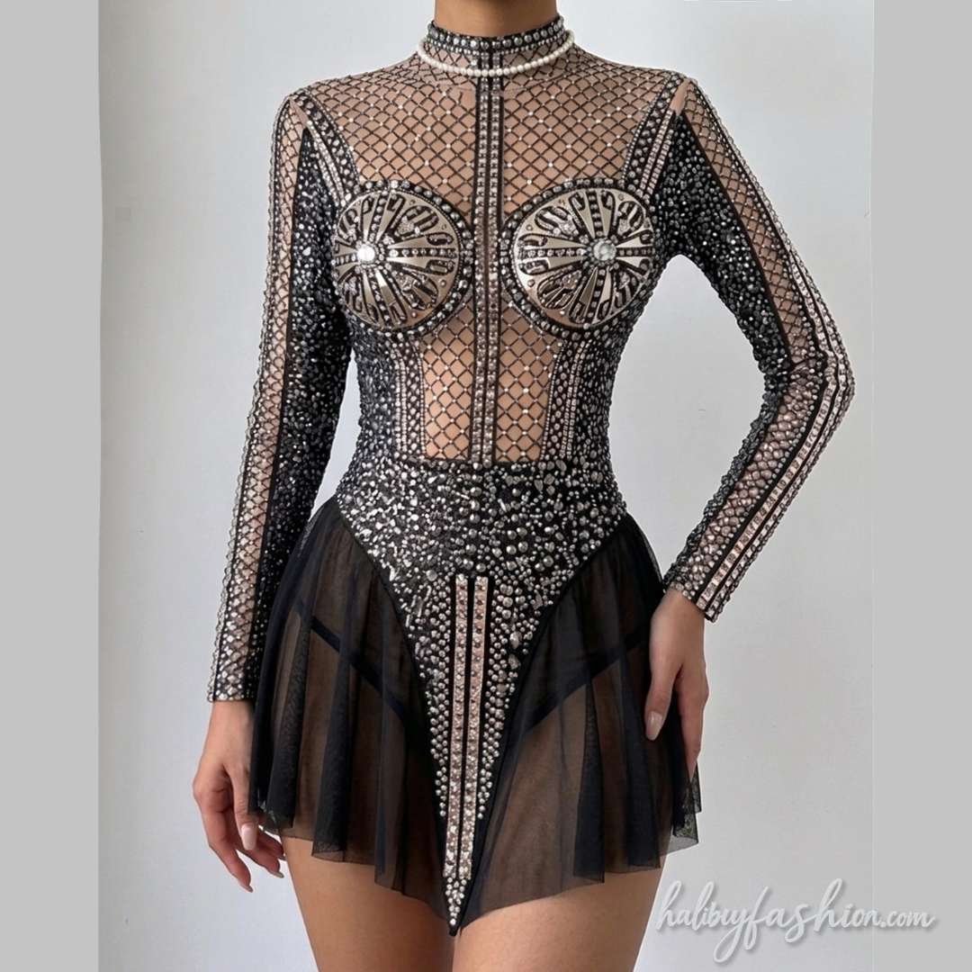 Long sleeve high neck mesh mini dress