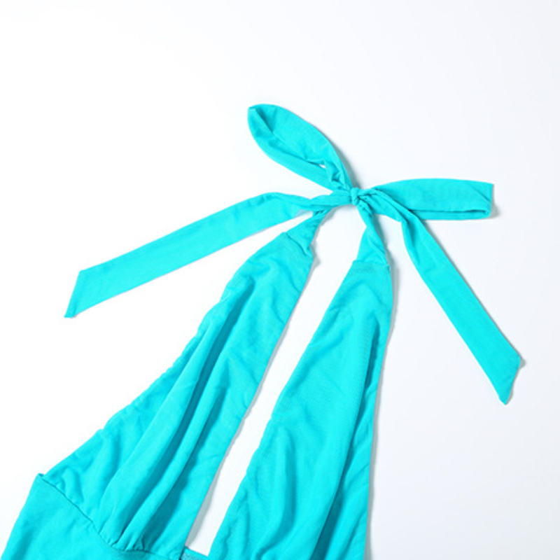 Halter self tie v neck backless solid top  | Festival Outfits Women-final-sale