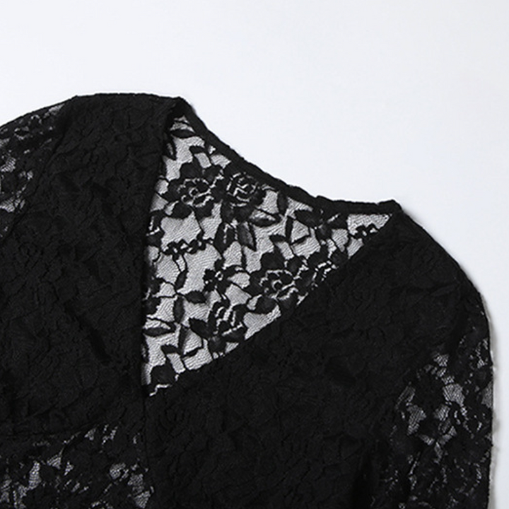 Lace long sleeve v neck solid mini dress  | Festival Outfits Women