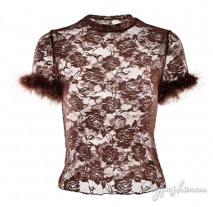 Crewneck short sleeve fluffy lace see through top - Halibuy