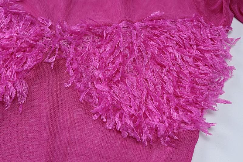 Long sleeve gloves high neck feather mesh see through maxi dress  | Festival Outfits Women