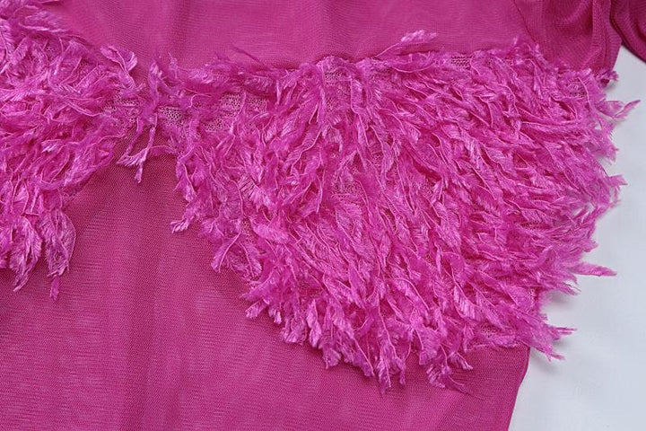 Long sleeve gloves high neck feather mesh see through maxi dress  | Festival Outfits Women